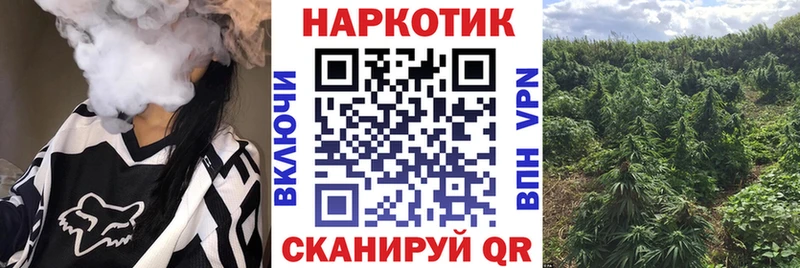 Виды наркоты Завитинск Кокаин  СОЛЬ  МЕФ  Галлюциногенные грибы  Марихуана  ГАШ 