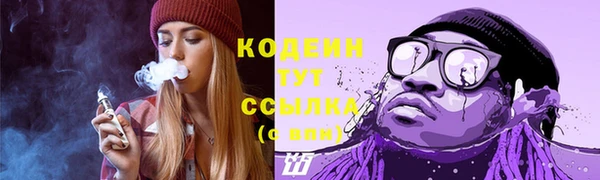 ГАЛЛЮЦИНОГЕННЫЕ ГРИБЫ Верея