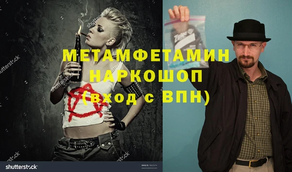 ГАЛЛЮЦИНОГЕННЫЕ ГРИБЫ Верея