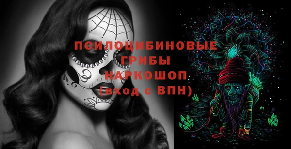ГАЛЛЮЦИНОГЕННЫЕ ГРИБЫ Верея