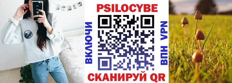 Галлюциногенные грибы Cubensis mega tor Завитинск